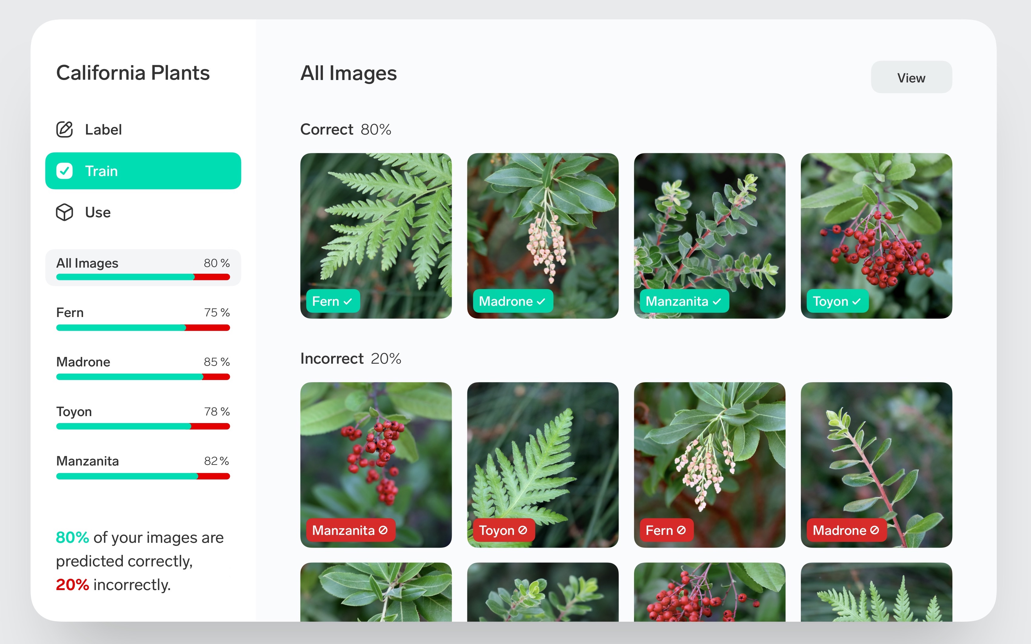 A picture of the Lobe application showing a model classifying different types of California plants
